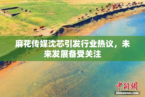 麻花传媒沈芯引发行业热议，未来发展备受关注