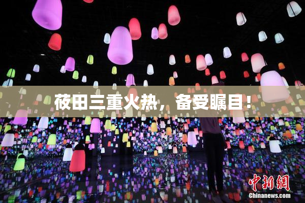 莜田三重火热，备受瞩目！