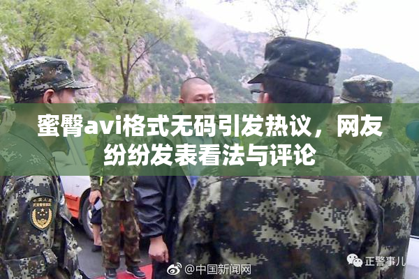蜜臀avi格式无码引发热议，网友纷纷发表看法与评论