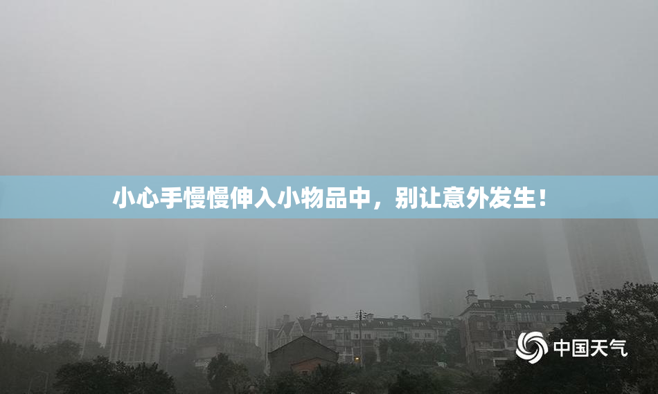 小心手慢慢伸入小物品中，别让意外发生！