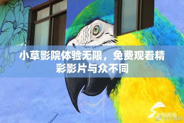 小草影院体验无限，免费观看精彩影片与众不同