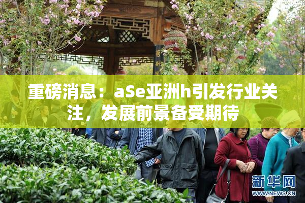 重磅消息：aSe亚洲h引发行业关注，发展前景备受期待