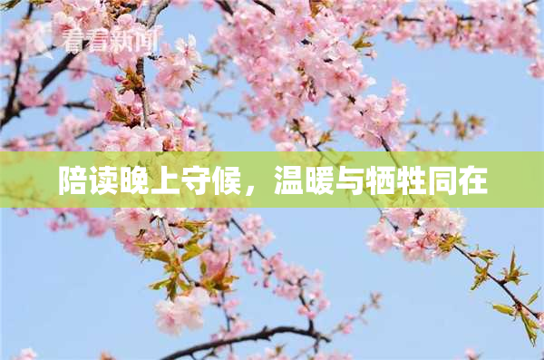 陪读晚上守候，温暖与牺牲同在