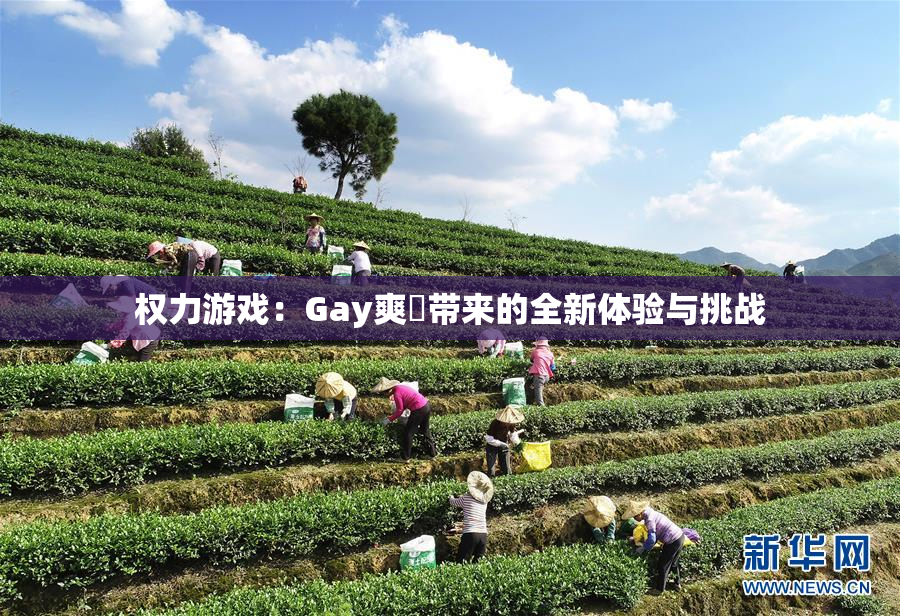 权力游戏：Gay爽擼带来的全新体验与挑战