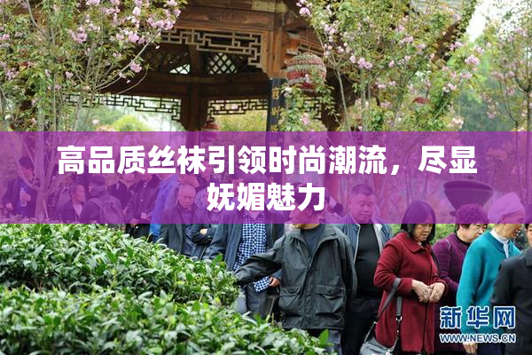 高品质丝袜引领时尚潮流，尽显妩媚魅力