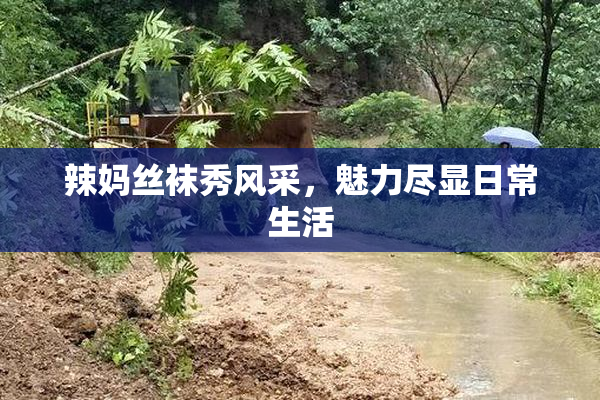 辣妈丝袜秀风采，魅力尽显日常生活