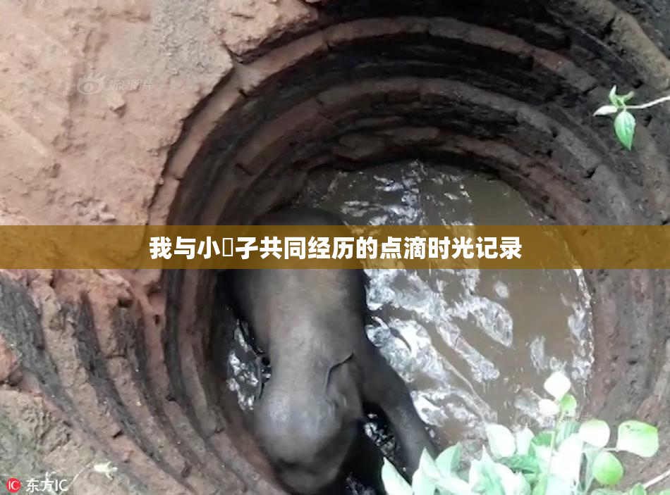 我与小娻孑共同经历的点滴时光记录