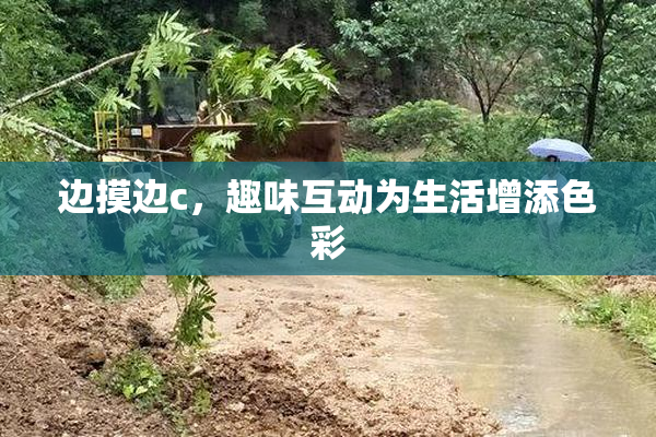 边摸边c，趣味互动为生活增添色彩