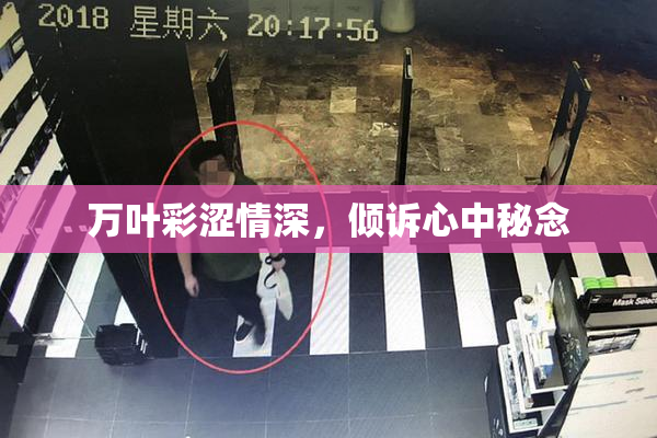 万叶彩涩情深，倾诉心中秘念