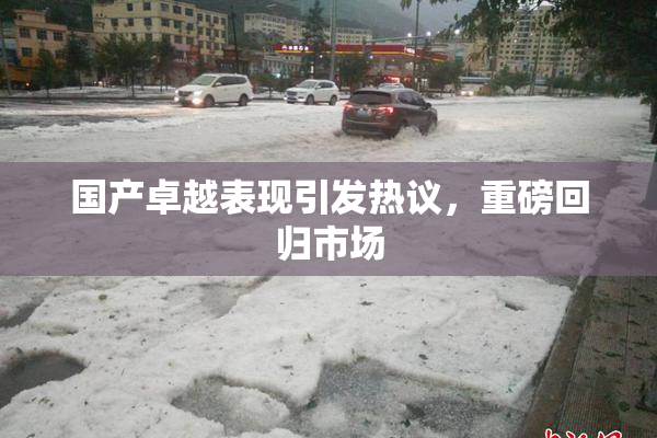 国产卓越表现引发热议，重磅回归市场