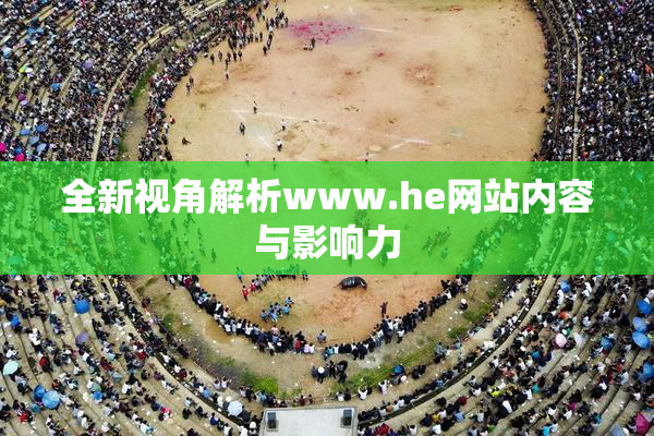 全新视角解析www.he网站内容与影响力