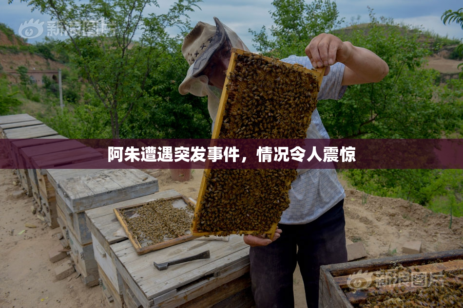 阿朱遭遇突发事件，情况令人震惊