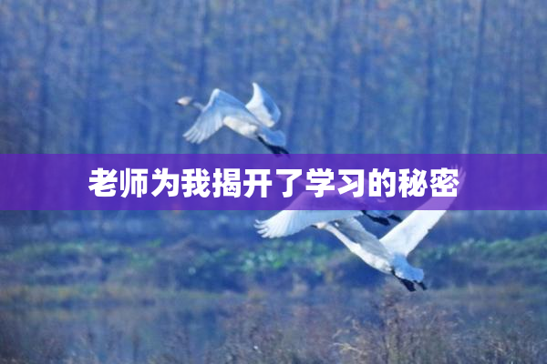 老师为我揭开了学习的秘密