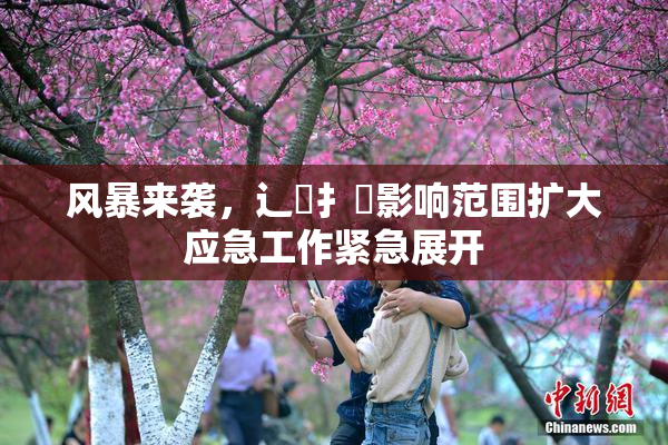 风暴来袭，辶喿扌畐影响范围扩大应急工作紧急展开