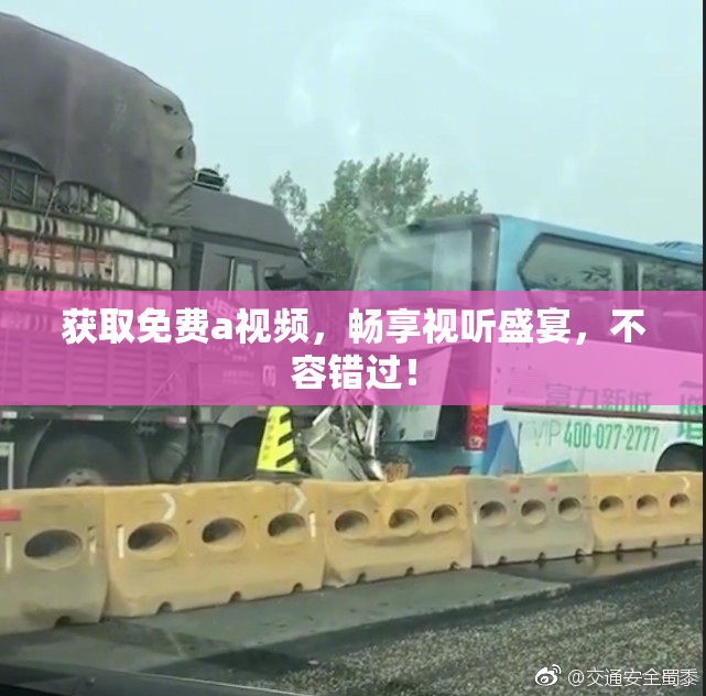 获取免费a视频，畅享视听盛宴，不容错过！