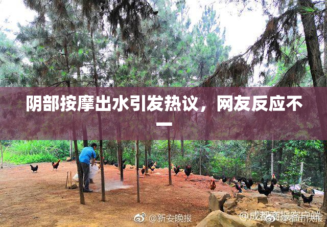 阴部按摩出水引发热议，网友反应不一