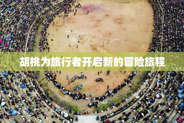 胡桃为旅行者开启新的冒险旅程