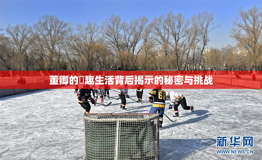 董卿的婬趣生活背后揭示的秘密与挑战