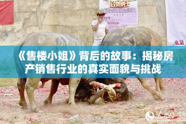 《售楼小姐》背后的故事：揭秘房产销售行业的真实面貌与挑战