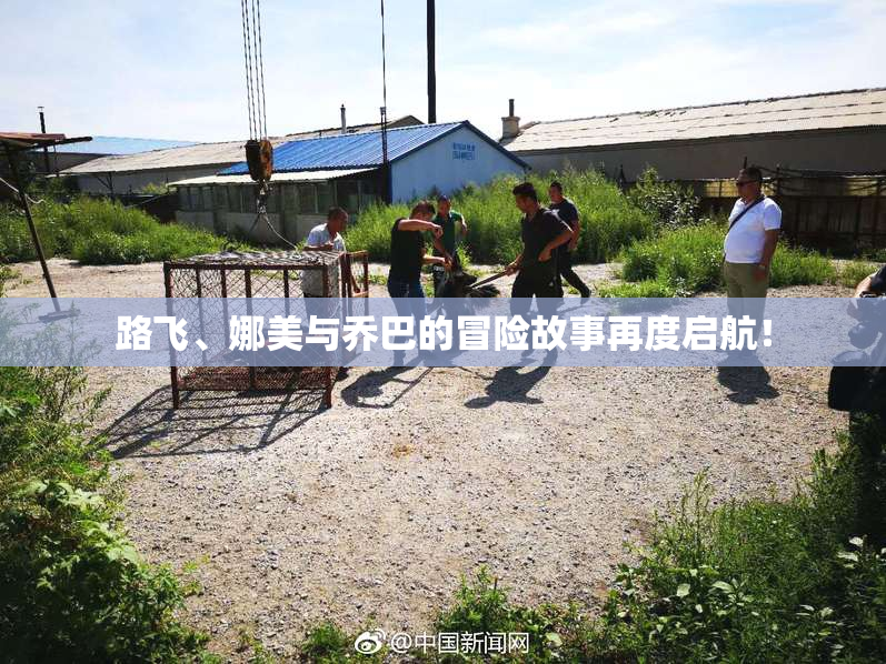 路飞、娜美与乔巴的冒险故事再度启航！