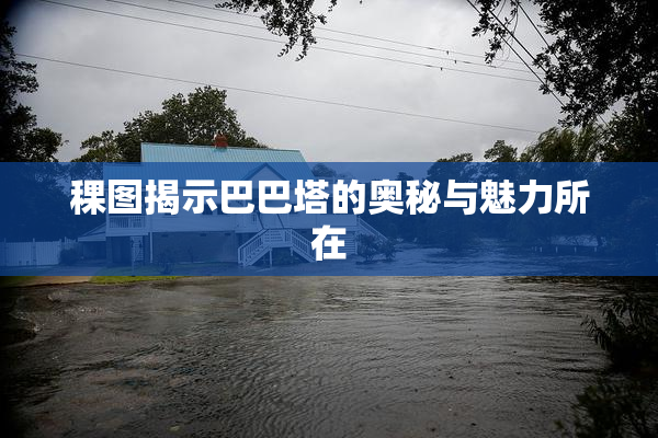 稞图揭示巴巴塔的奥秘与魅力所在
