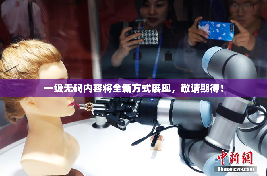 一级无码内容将全新方式展现，敬请期待！