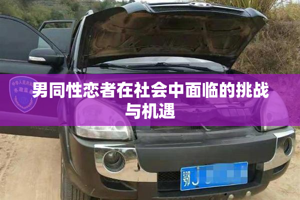 男同性恋者在社会中面临的挑战与机遇