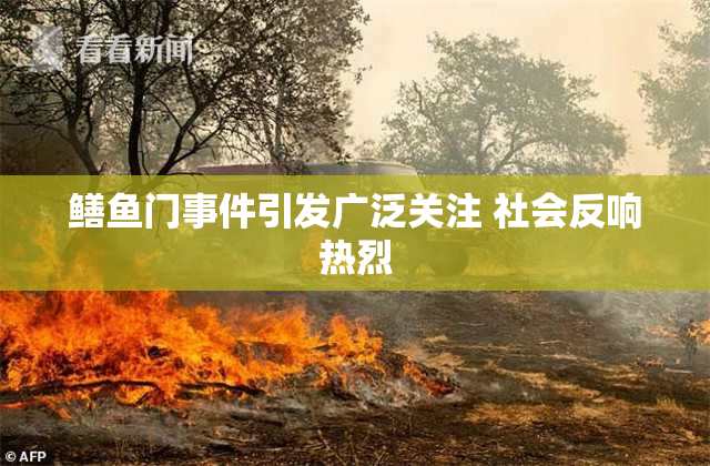 鳝鱼门事件引发广泛关注 社会反响热烈