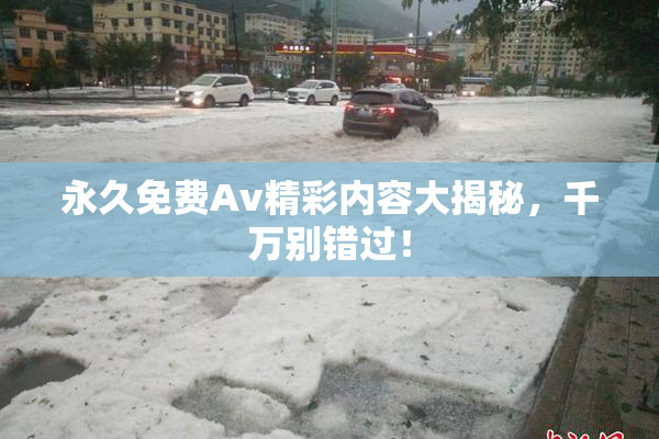 永久免费Av精彩内容大揭秘，千万别错过！