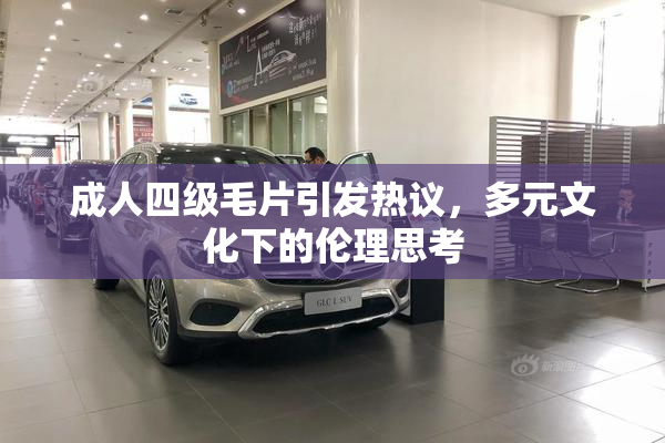成人四级毛片引发热议，多元文化下的伦理思考