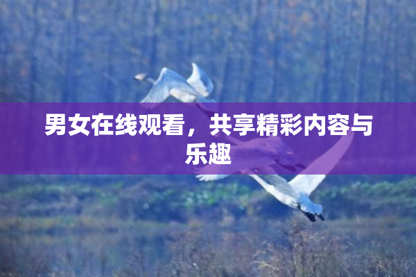 男女在线观看，共享精彩内容与乐趣