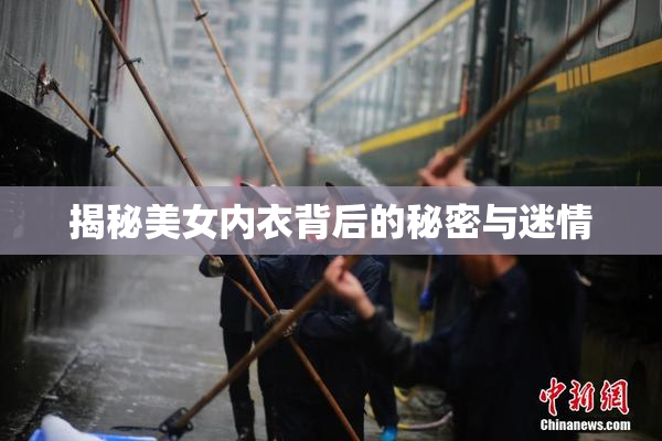 揭秘美女内衣背后的秘密与迷情