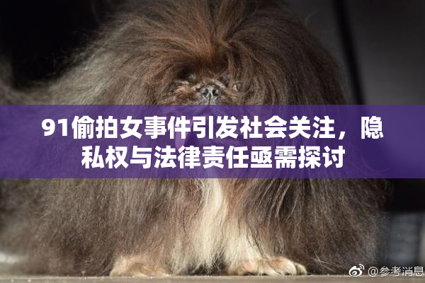 91偷拍女事件引发社会关注，隐私权与法律责任亟需探讨