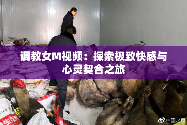 调教女M视频：探索极致快感与心灵契合之旅
