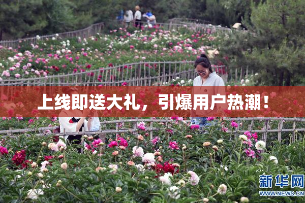 上线即送大礼，引爆用户热潮！