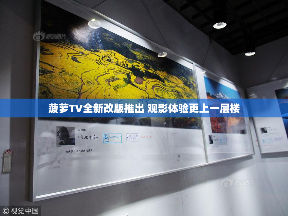 菠萝TV全新改版推出 观影体验更上一层楼