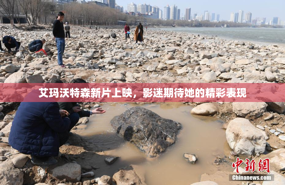艾玛沃特森新片上映，影迷期待她的精彩表现
