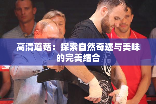 高清蘑菇：探索自然奇迹与美味的完美结合