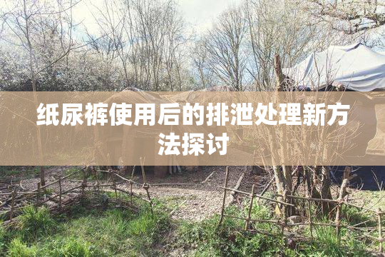 纸尿裤使用后的排泄处理新方法探讨