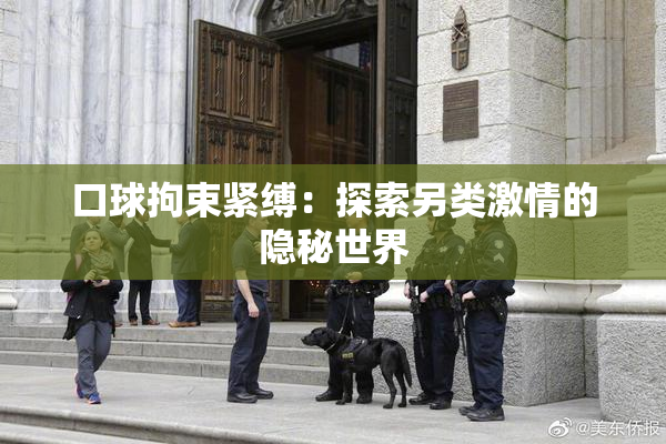 口球拘束紧缚：探索另类激情的隐秘世界