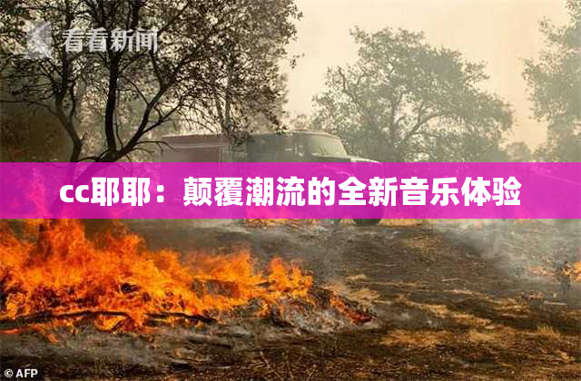 cc耶耶：颠覆潮流的全新音乐体验