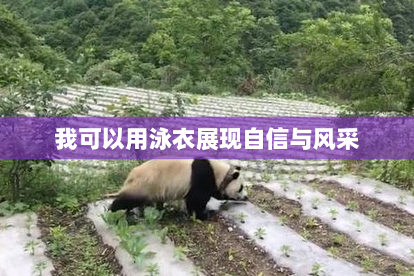 我可以用泳衣展现自信与风采