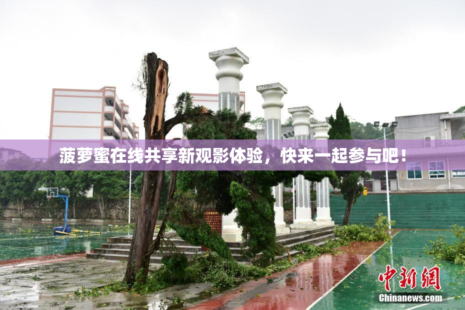 菠萝蜜在线共享新观影体验，快来一起参与吧！