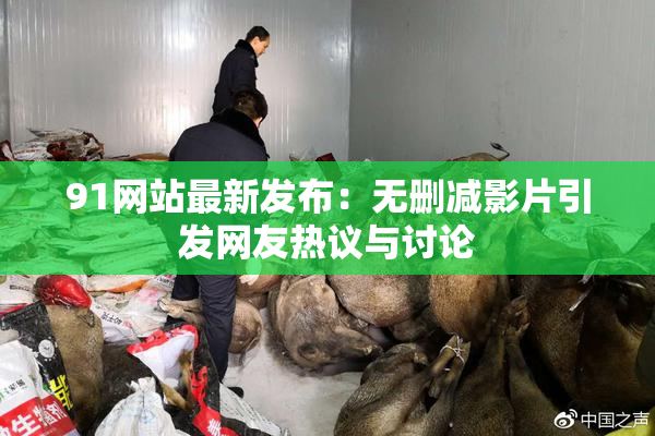 91网站最新发布：无删减影片引发网友热议与讨论