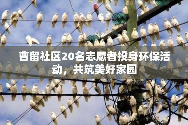 曹留社区20名志愿者投身环保活动，共筑美好家园