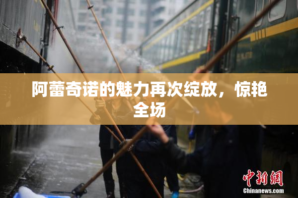 阿蕾奇诺的魅力再次绽放，惊艳全场