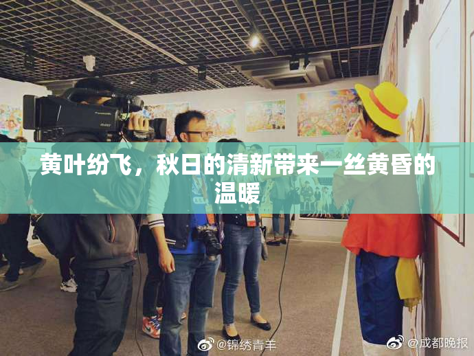 黄叶纷飞，秋日的清新带来一丝黄昏的温暖