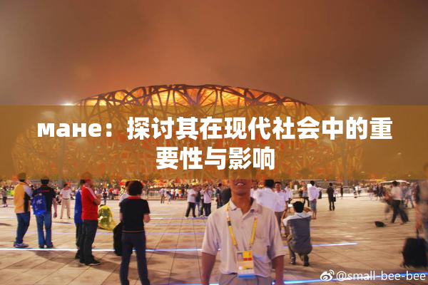 мане：探讨其在现代社会中的重要性与影响
