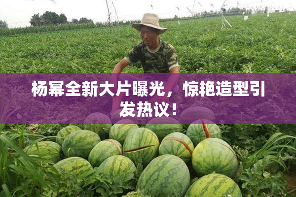 杨幂全新大片曝光，惊艳造型引发热议！