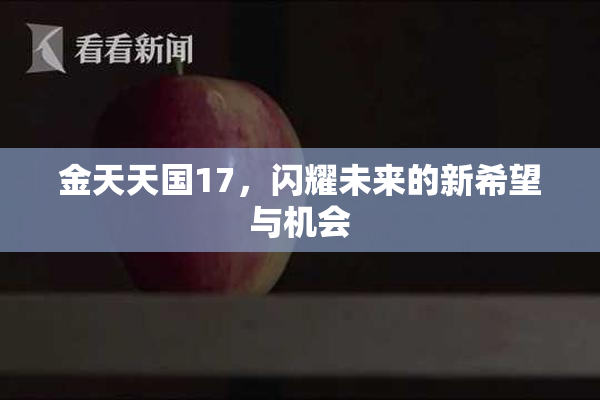 金天天国17，闪耀未来的新希望与机会